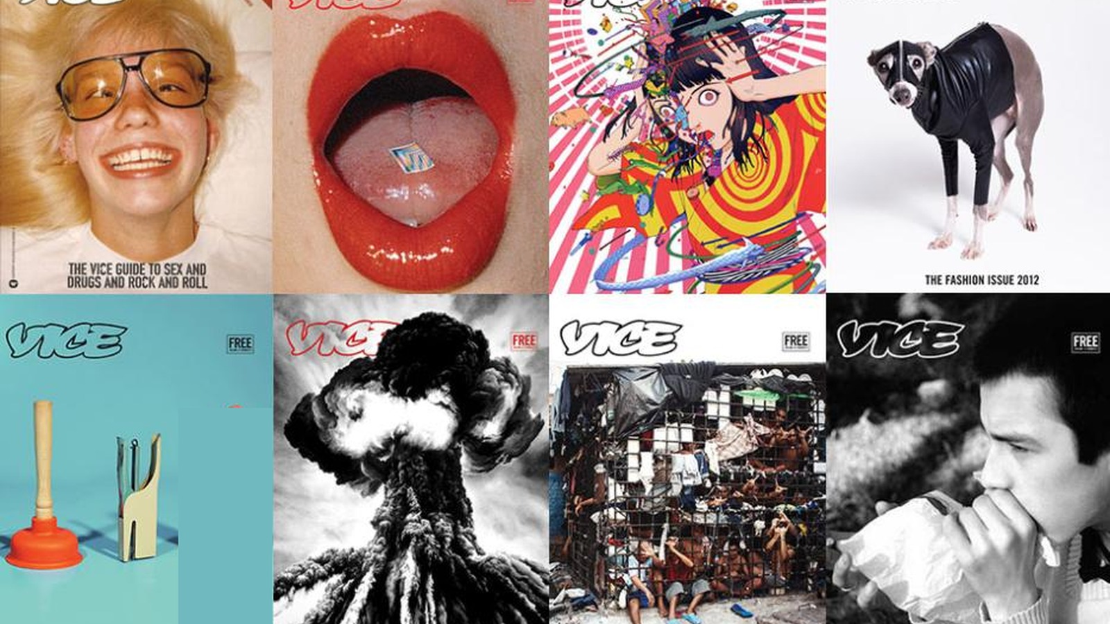 VICE Media — Head of Insights & Analytics